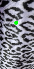 Load image into Gallery viewer, FAKE FUR SPECIAL $7.99 Per YARD Six patterns to select from.