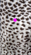 Load image into Gallery viewer, FAKE FUR SPECIAL $7.99 Per YARD Six patterns to select from.