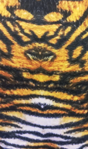 Tiger FLUFFY Blanket Material SOLD in 2 yard increments.