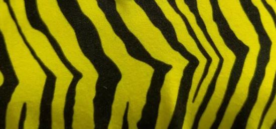 Yellow Tiger Pattern Designer Inspired  Fabrics spandex
